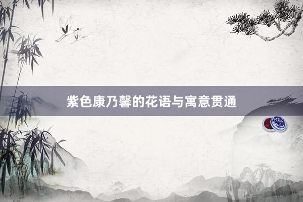紫色康乃馨的花语与寓意贯通